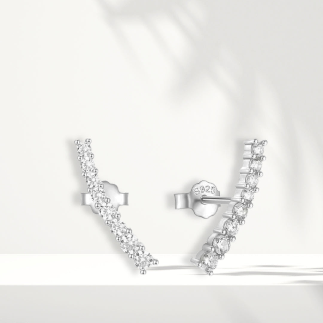 Orecchini in argento bianco