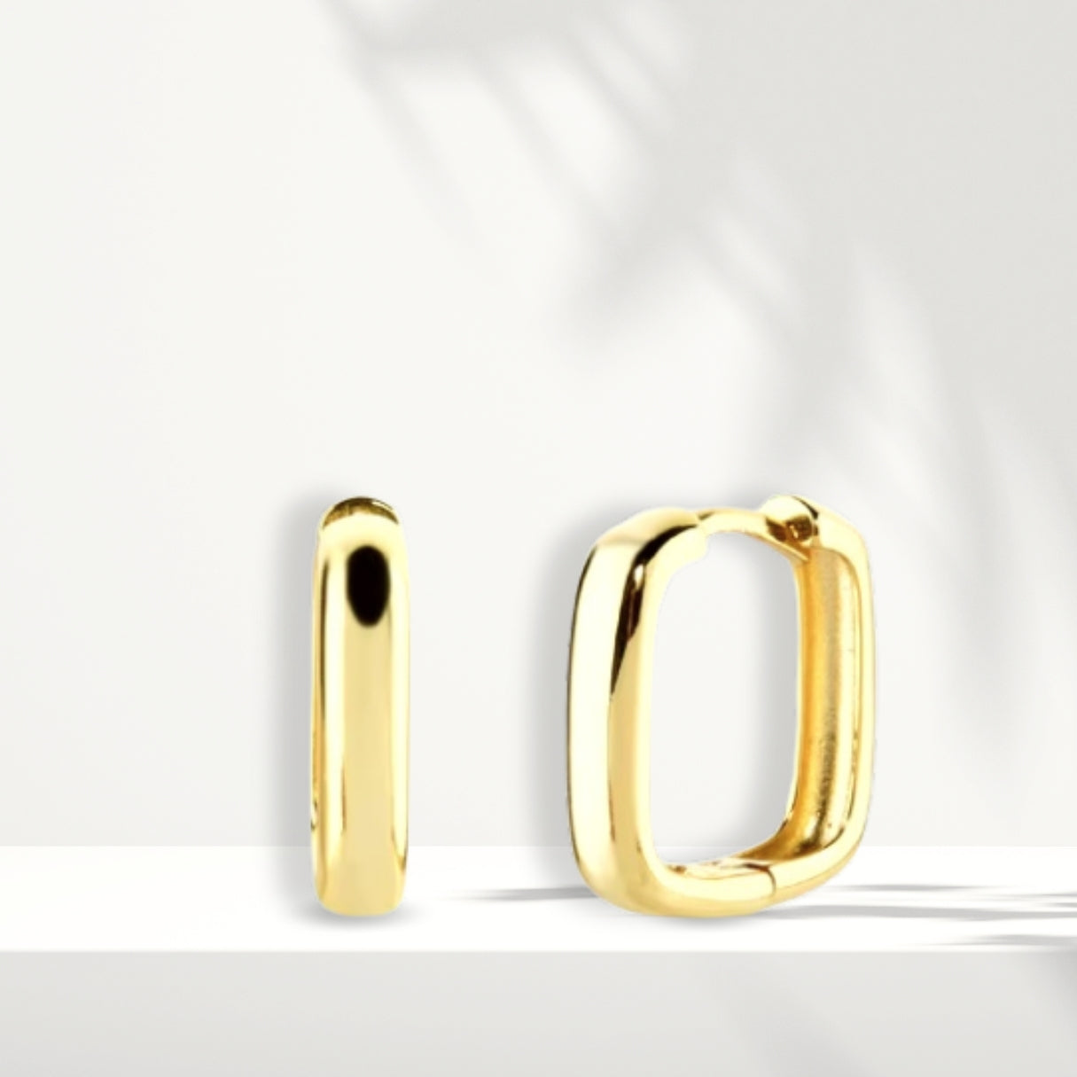 White Silver Earrings