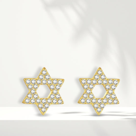 Gold Plated Earrings