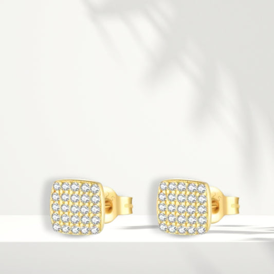 Gold Plated Earrings