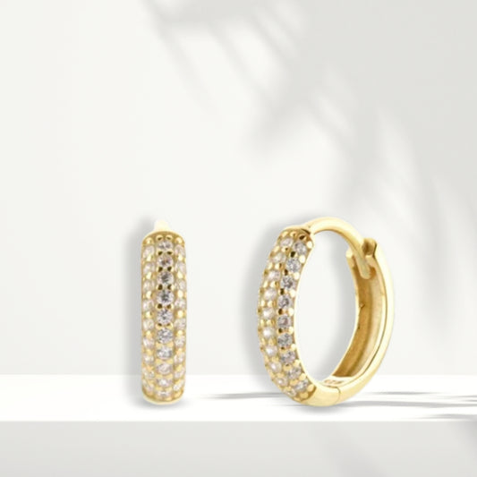 Gold Plated Earrings