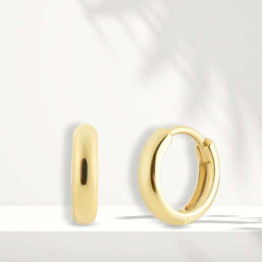 Gold Plated Earrings