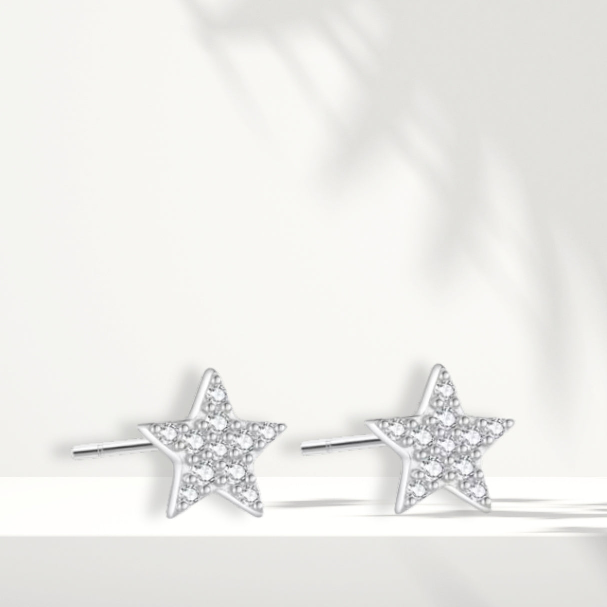 Orecchini in argento bianco