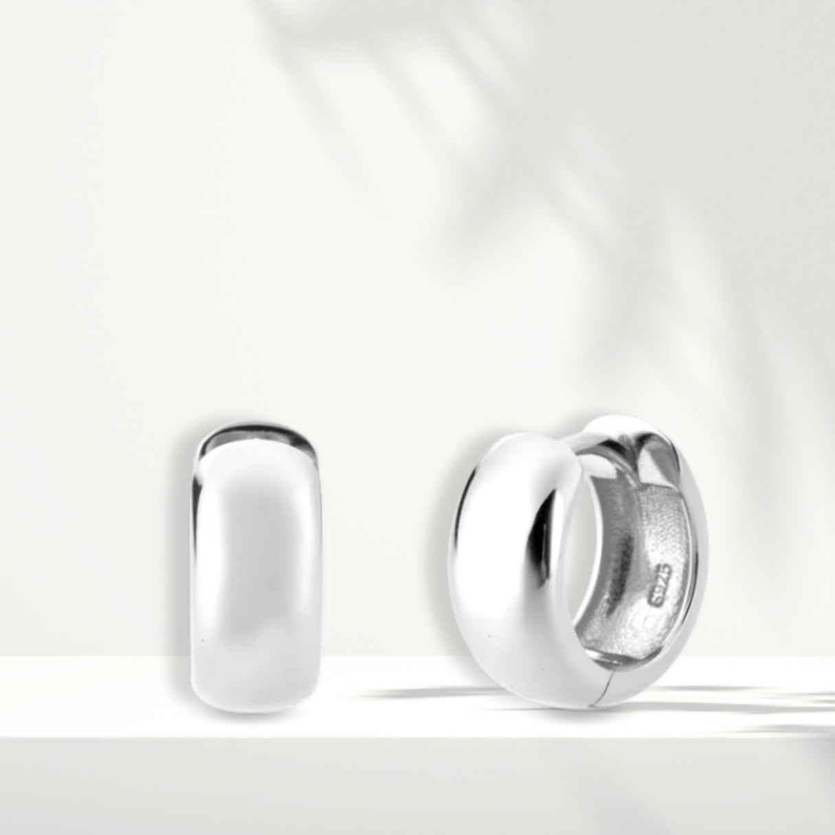 Orecchini in argento bianco