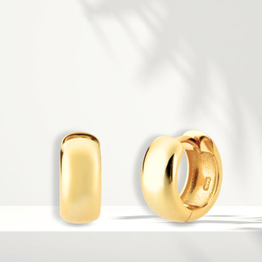 Gold Plated Earrings