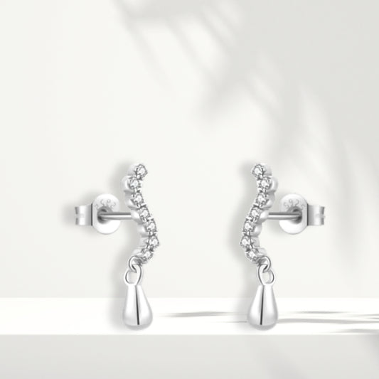 Orecchini in argento bianco