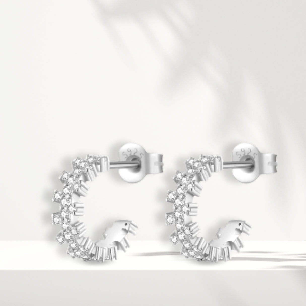 Orecchini in argento bianco