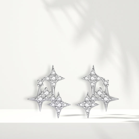 Orecchini in argento bianco