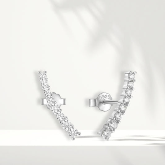 Orecchini in argento bianco