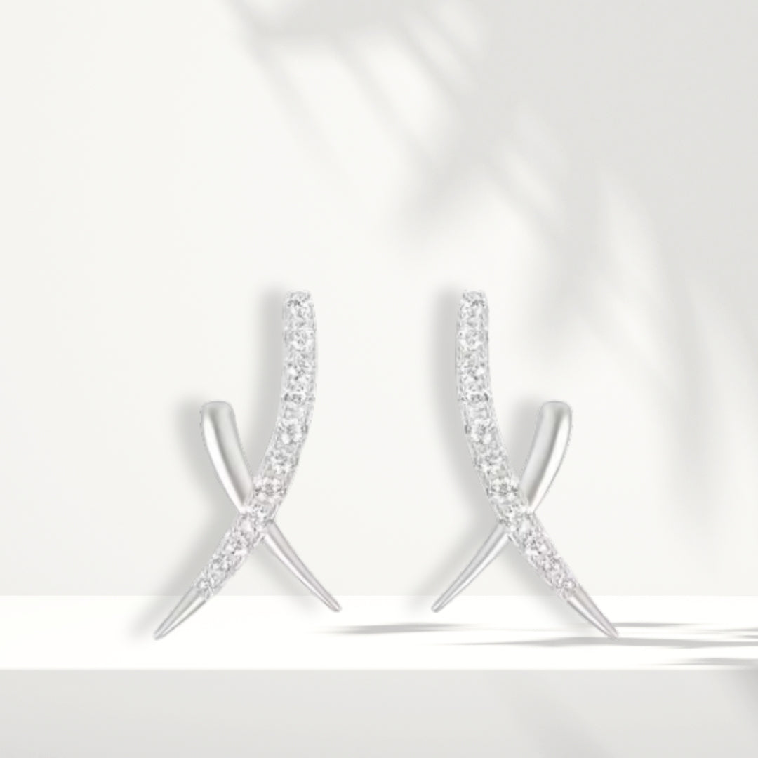 Orecchini in argento bianco