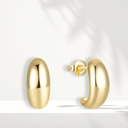 Gold Plated Earrings