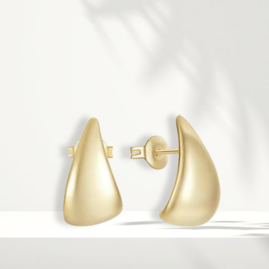 Gold Plated Earrings
