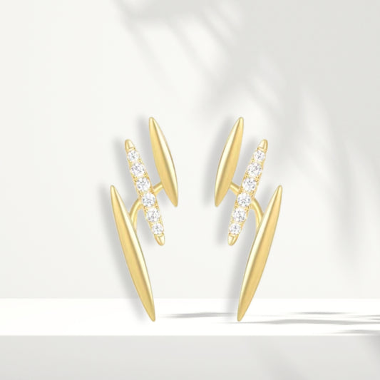 Rose Gold Plated Earrings