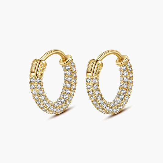Gold Plated Earrings